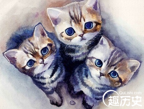 二百五的来历是什么？为什么是上厕所、下厨房？