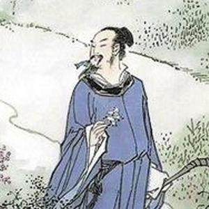 魏野头像
